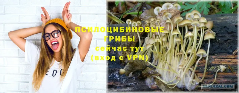 Галлюциногенные грибы Magic Shrooms  Ирбит 